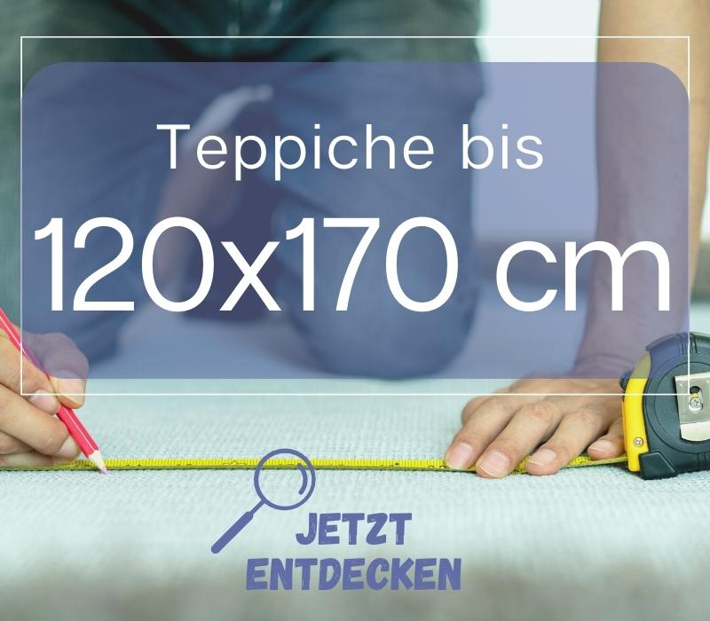 Teppich 120x170 cm online kaufen