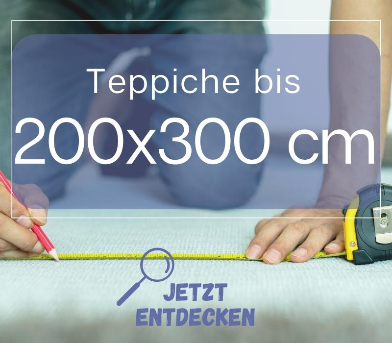 Teppich 200x290 cm online kaufen